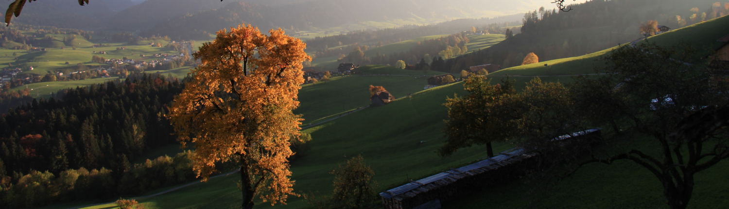 kapitelbild_home_herbst16_1_skiclub_schuepfheim